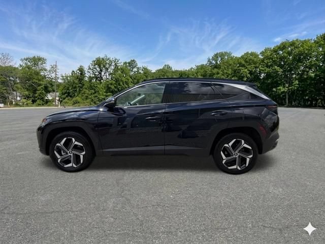 Used 2024 Hyundai Tucson Limited AWD/4WD image 5