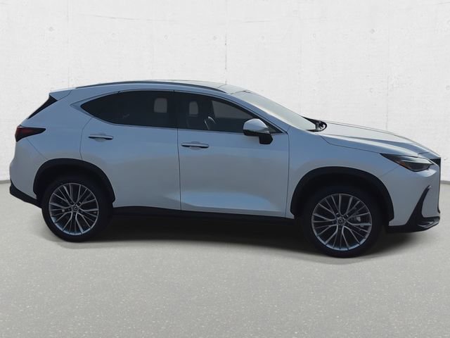 Used 2024 Lexus NX 350 AWD w/ Cold Area Package image 4