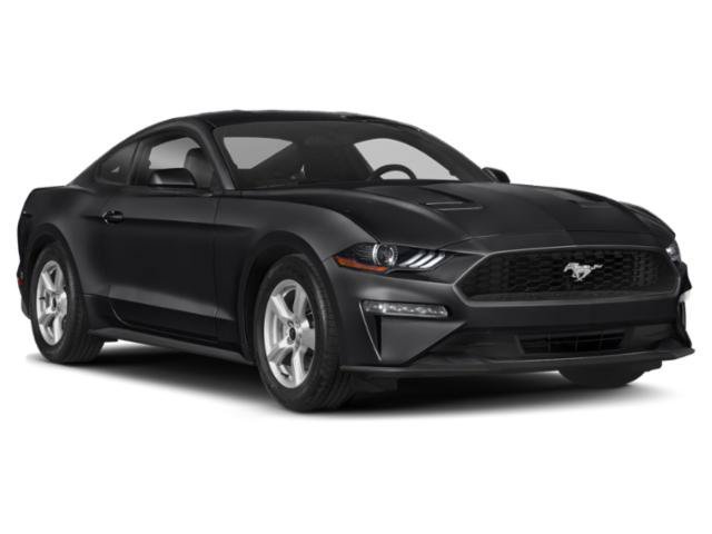 Used 2019 Ford Mustang Premium w/ Black Accent Package RWD image 9