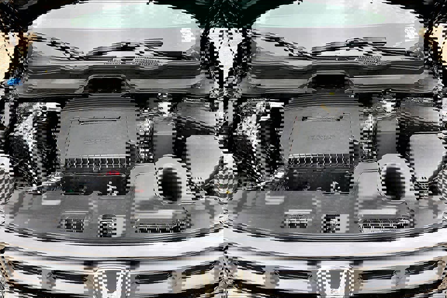 New 2026 Honda Passport RTL image 16