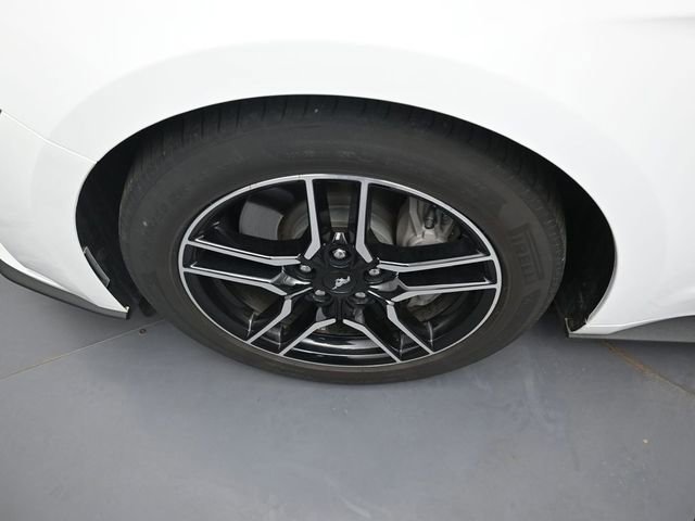 Used 2019 Ford Mustang GT Premium w/ Equipment Group 401A image 28