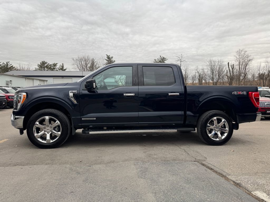 Used 2023 Ford F150 XLT w/ Equipment Group 302A High AWD/4WD image 8