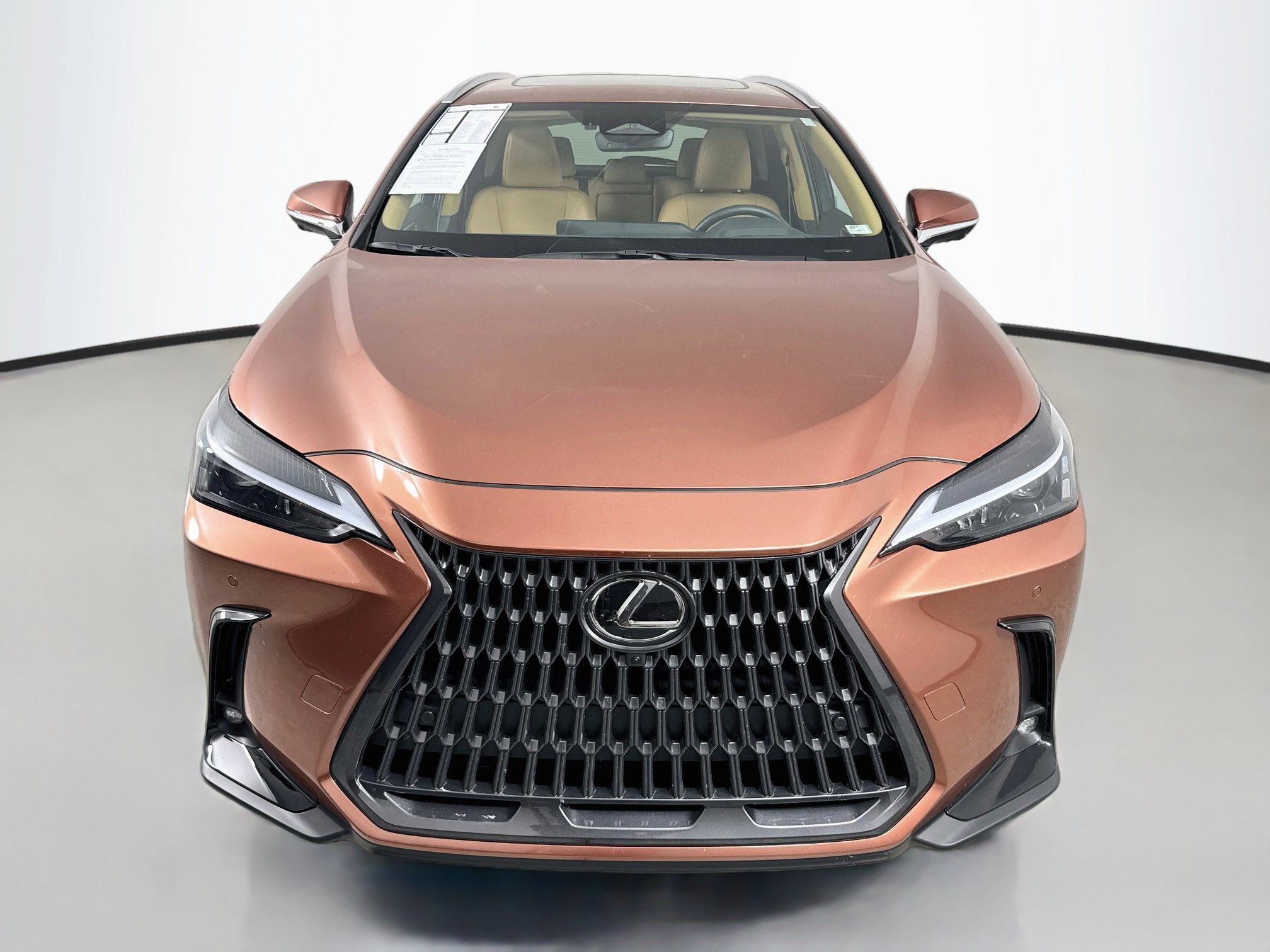 Certified 2025 Lexus NX 350h AWD w/ Cold Area Package image 2