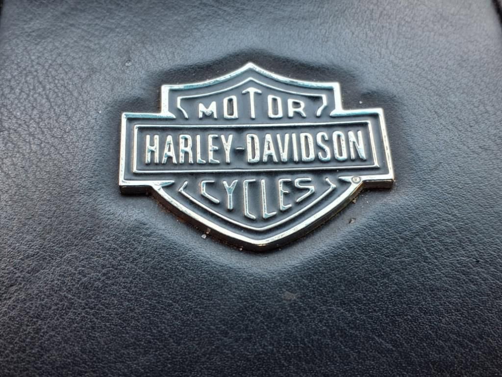 Used 2000 Ford F150 Harley-Davidson RWD image 14