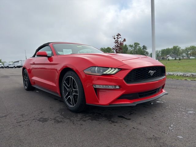 Used 2020 Ford Mustang Premium RWD image 1