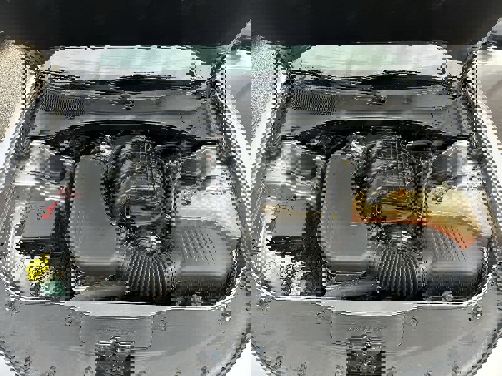 Used 2017 Dodge Charger SXT w/ Blacktop Package image 4