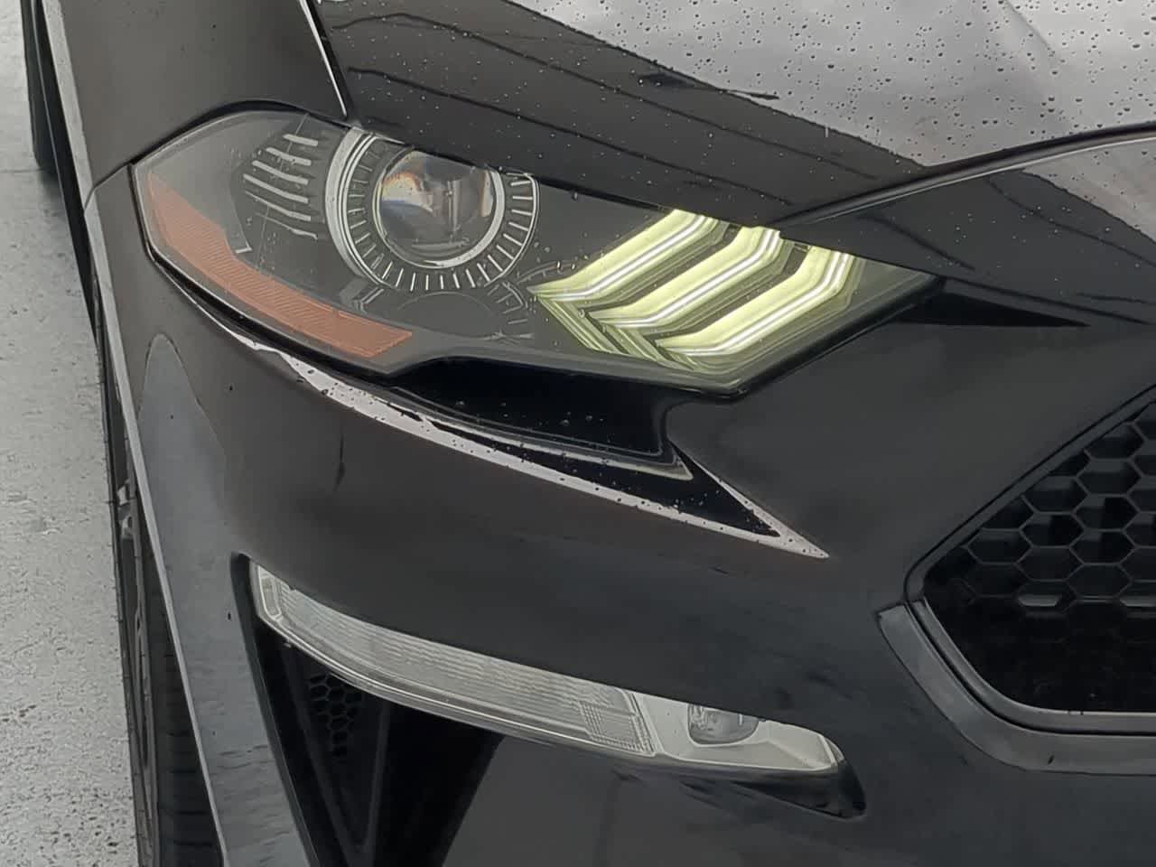 Used 2020 Ford Mustang GT Premium w/ Equipment Group 401A RWD image 11
