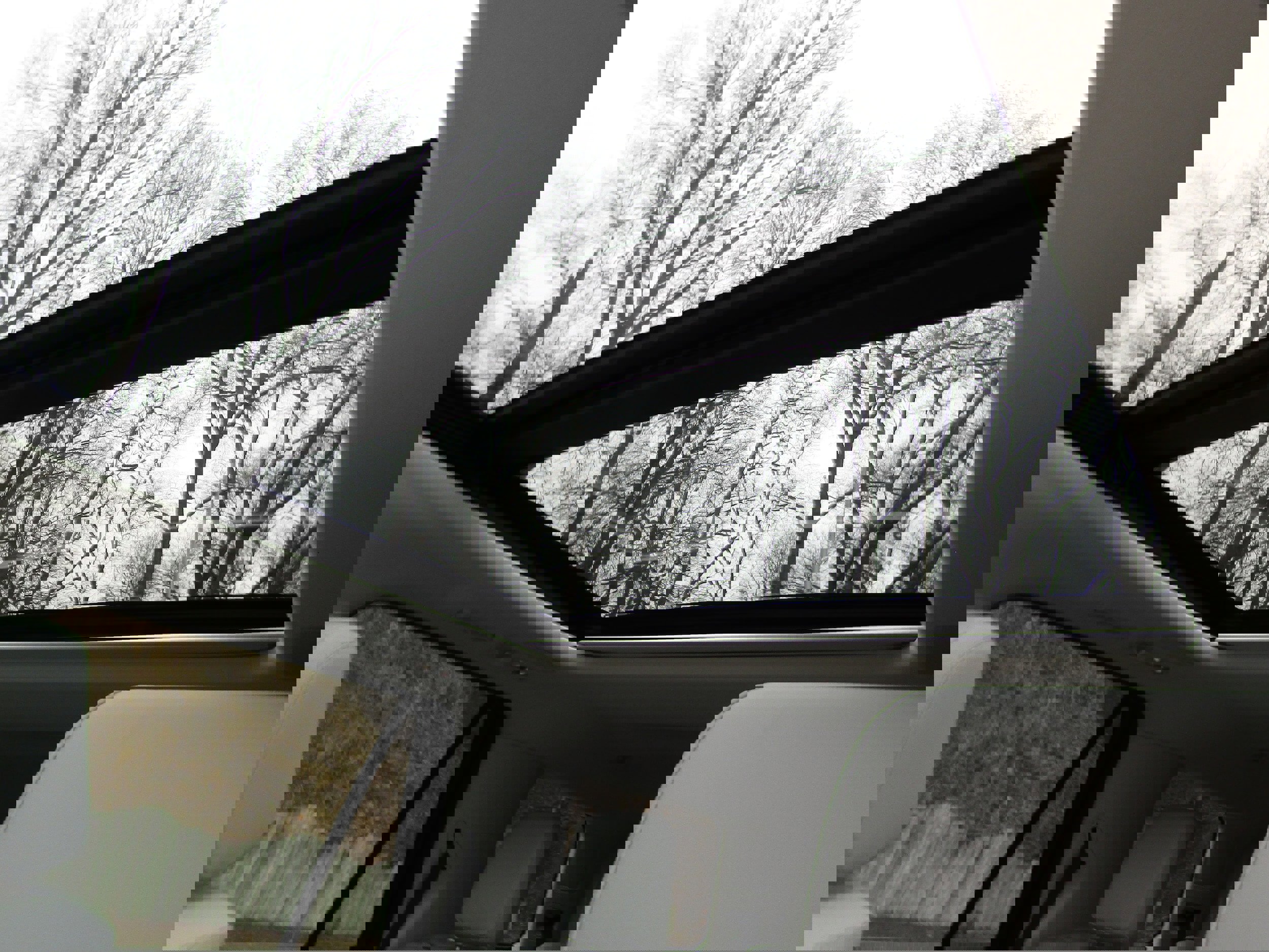 Used 2025 Ford Expedition Platinum w/ Platinum Ultimate Package image 41