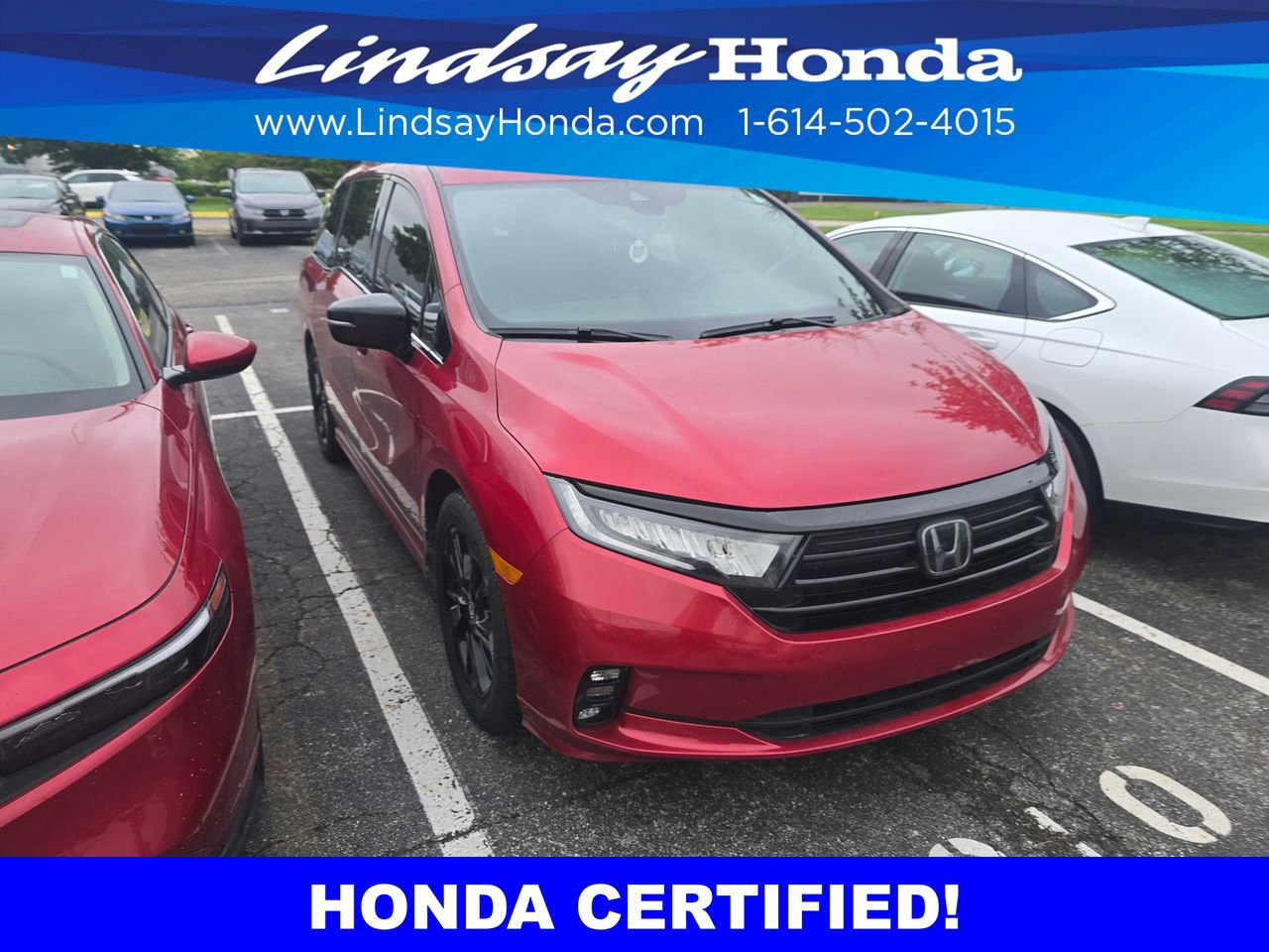 Certified 2024 Honda Odyssey Sport image 2