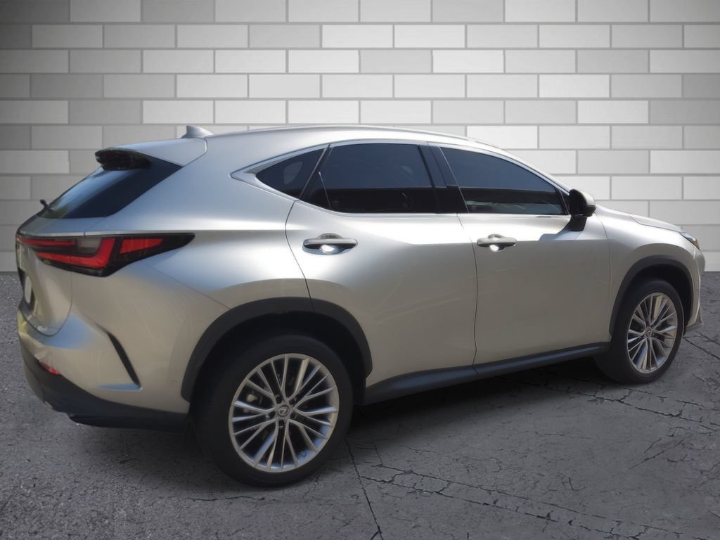 Used 2022 Lexus NX 350h AWD w/ Vision Package image 6