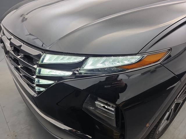 Used 2022 Hyundai Tucson Limited image 14