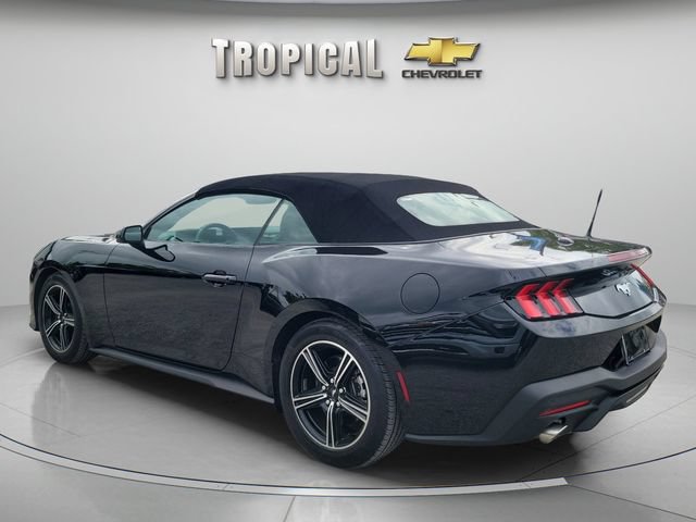 Used 2025 Ford Mustang Convertible RWD image 3