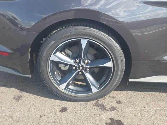 Certified 2023 Ford Mustang EcoBoost w/ Equipment Group 101A image 9