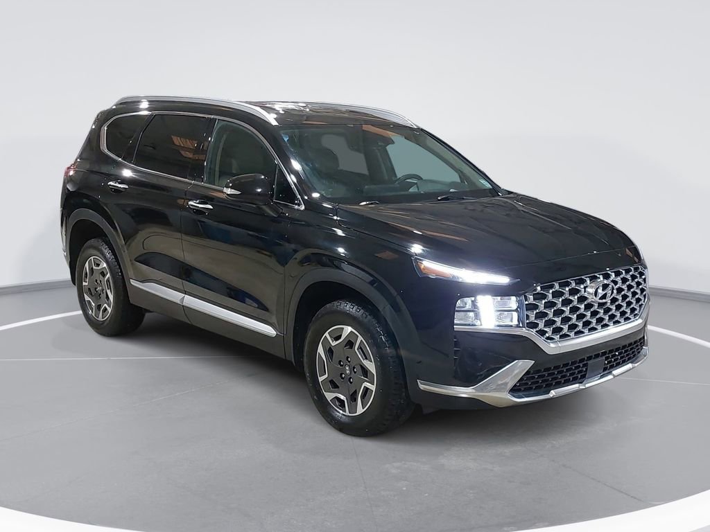 Used 2023 Hyundai Santa Fe Blue AWD/4WD image 3