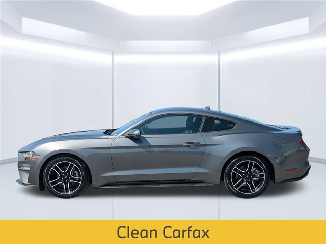 Used 2022 Ford Mustang Premium RWD video 2