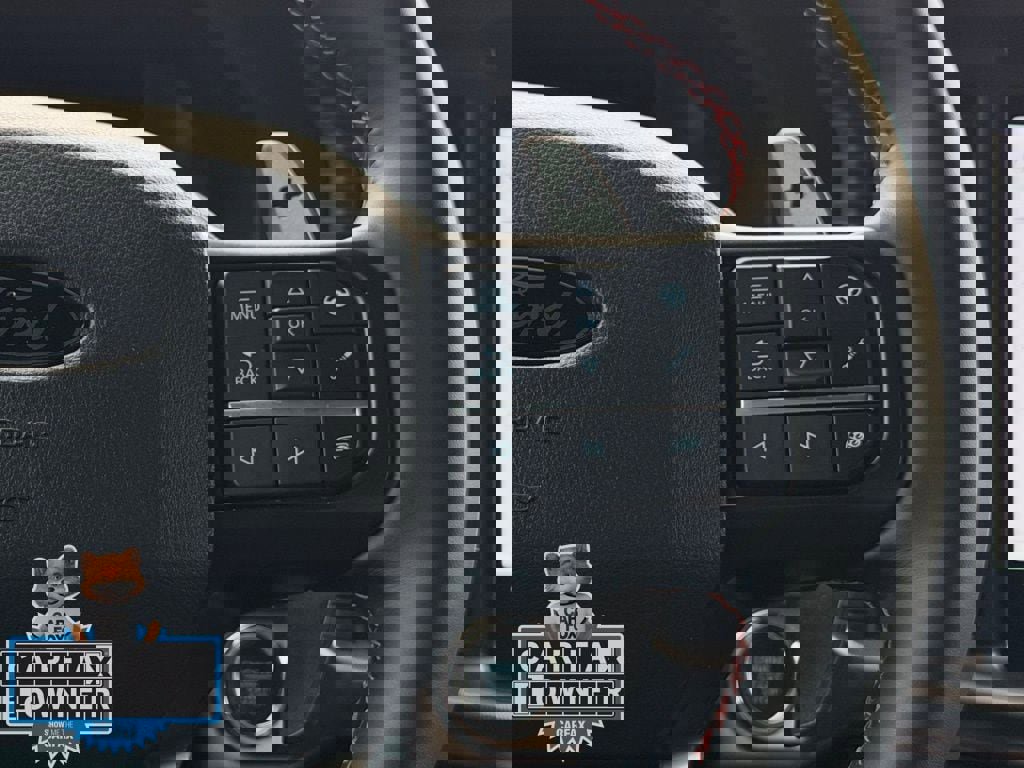 Used 2025 Ford F150 Raptor image 12