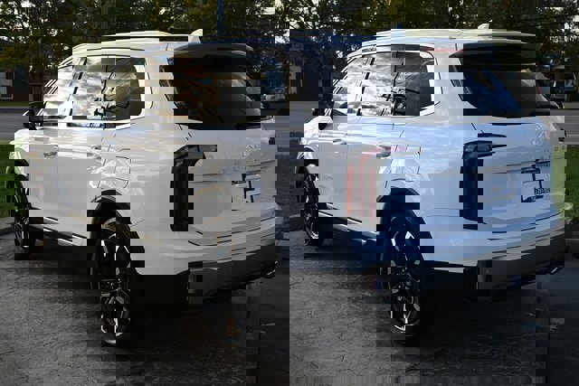 Used 2025 Kia Telluride SX image 7