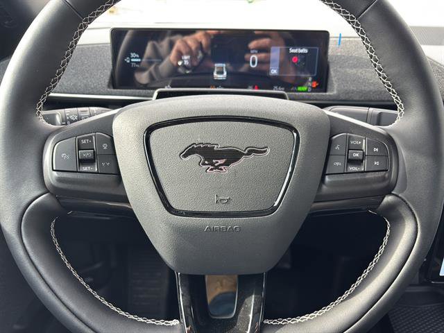 New 2025 Ford Mustang Mach-E GT w/ Bronze Appearance Package image 24