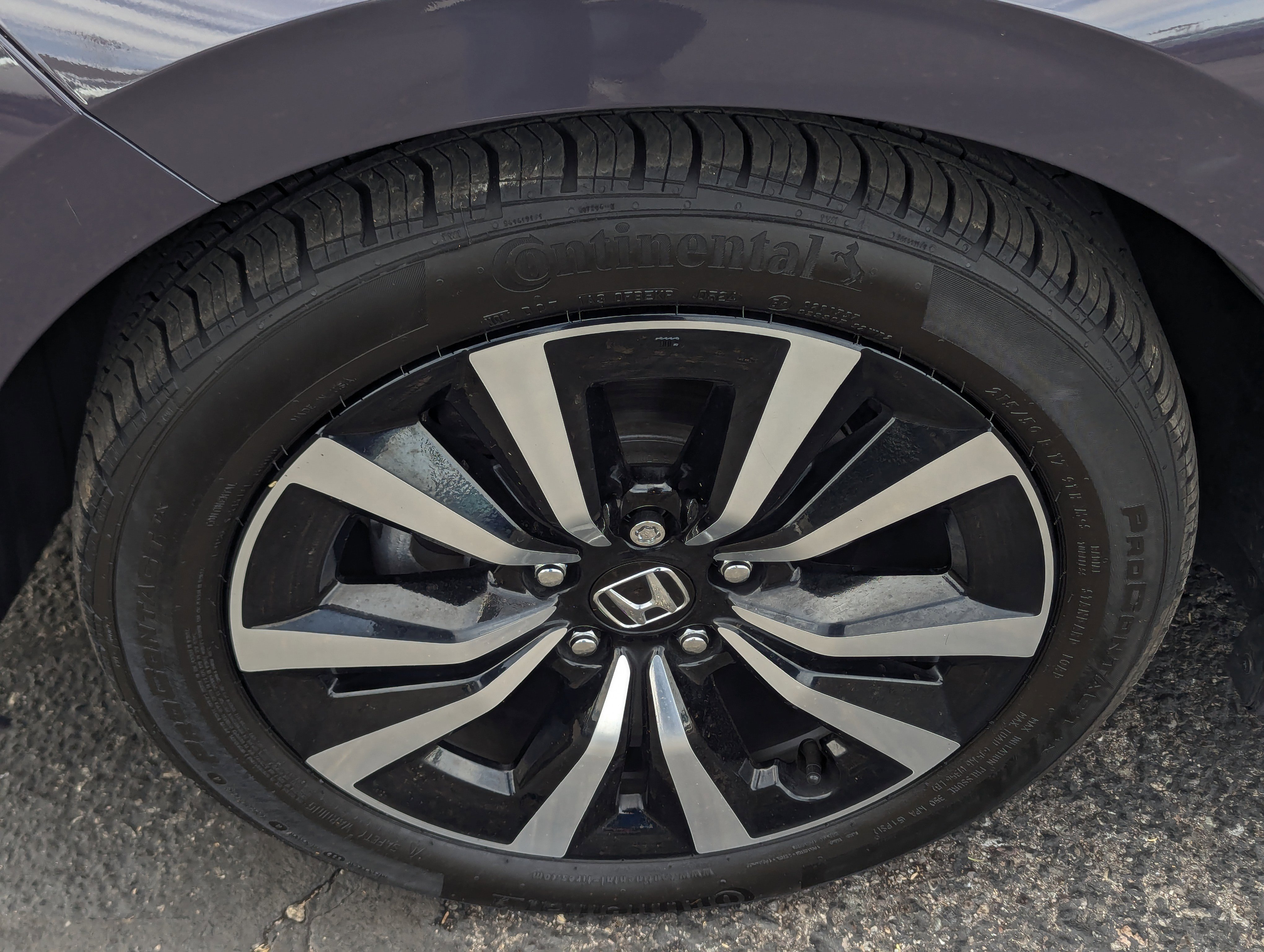 Used 2024 Honda Civic EX-L image 7