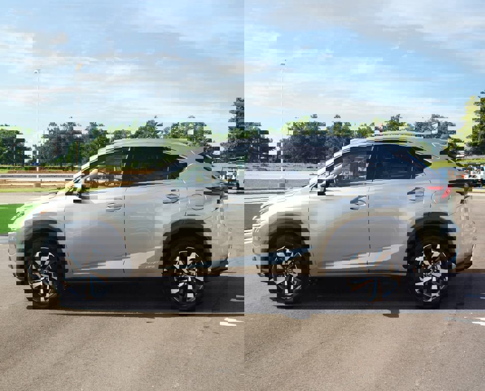 Used 2021 Lexus NX 300h AWD w/ Luxury Package image 13