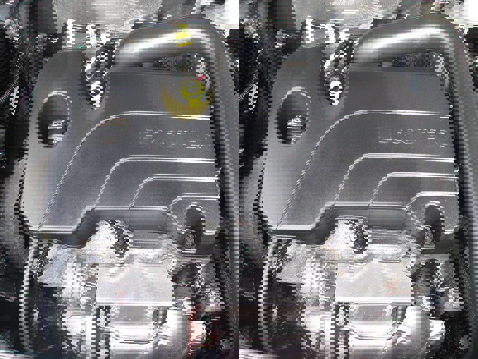 Certified 2025 GMC Terrain Elevation image 25