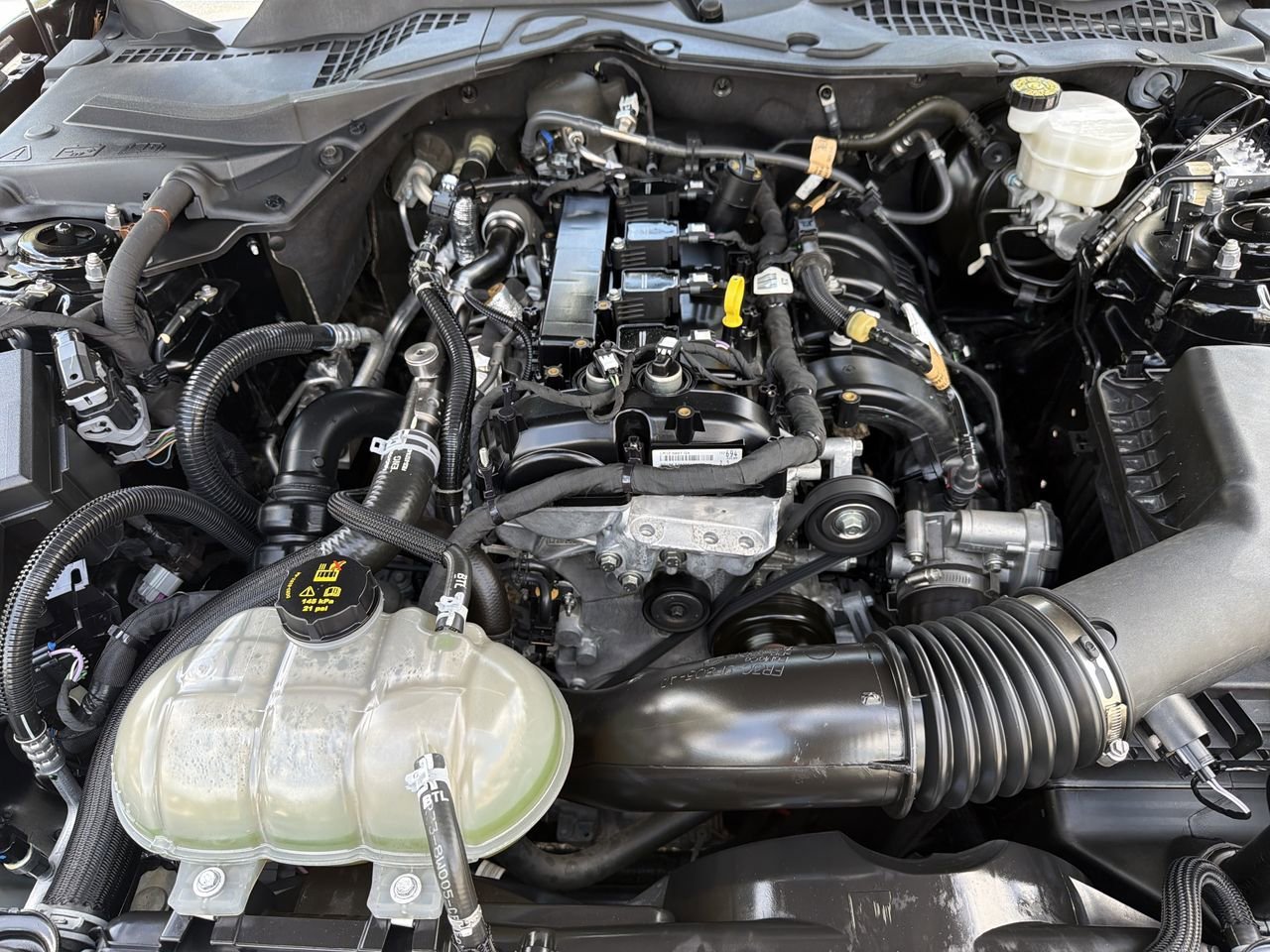 Used 2022 Ford Mustang Premium w/ Equipment Group 201A RWD image 10
