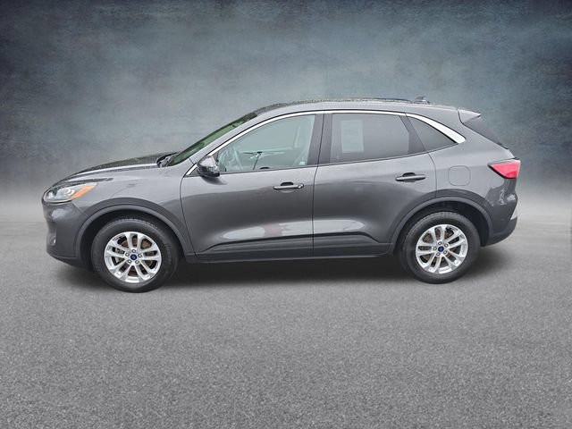 Used 2020 Ford Escape SE AWD/4WD image 4