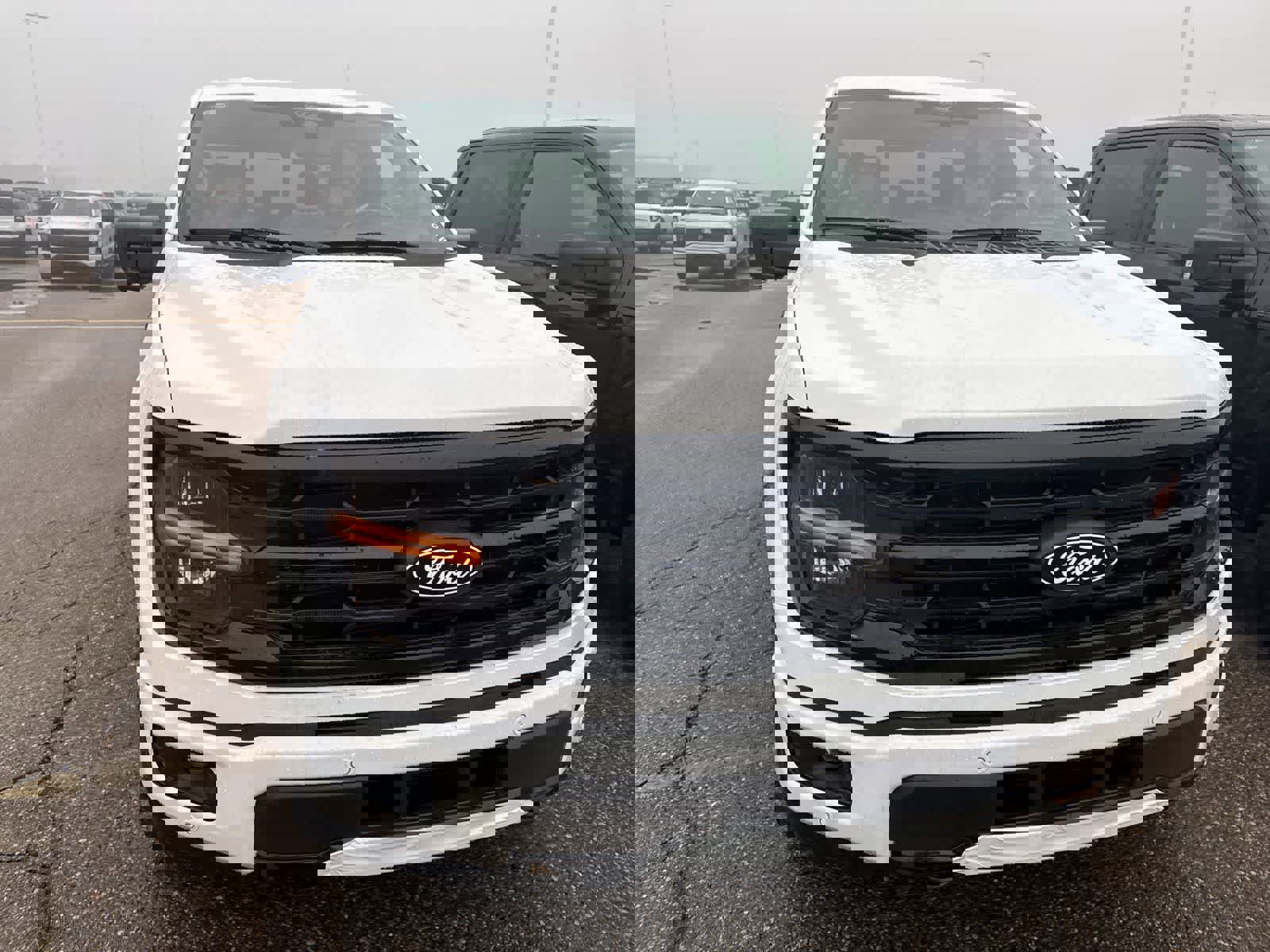 New 2026 Ford F150 XLT w/ Equipment Group 302A MID image 17