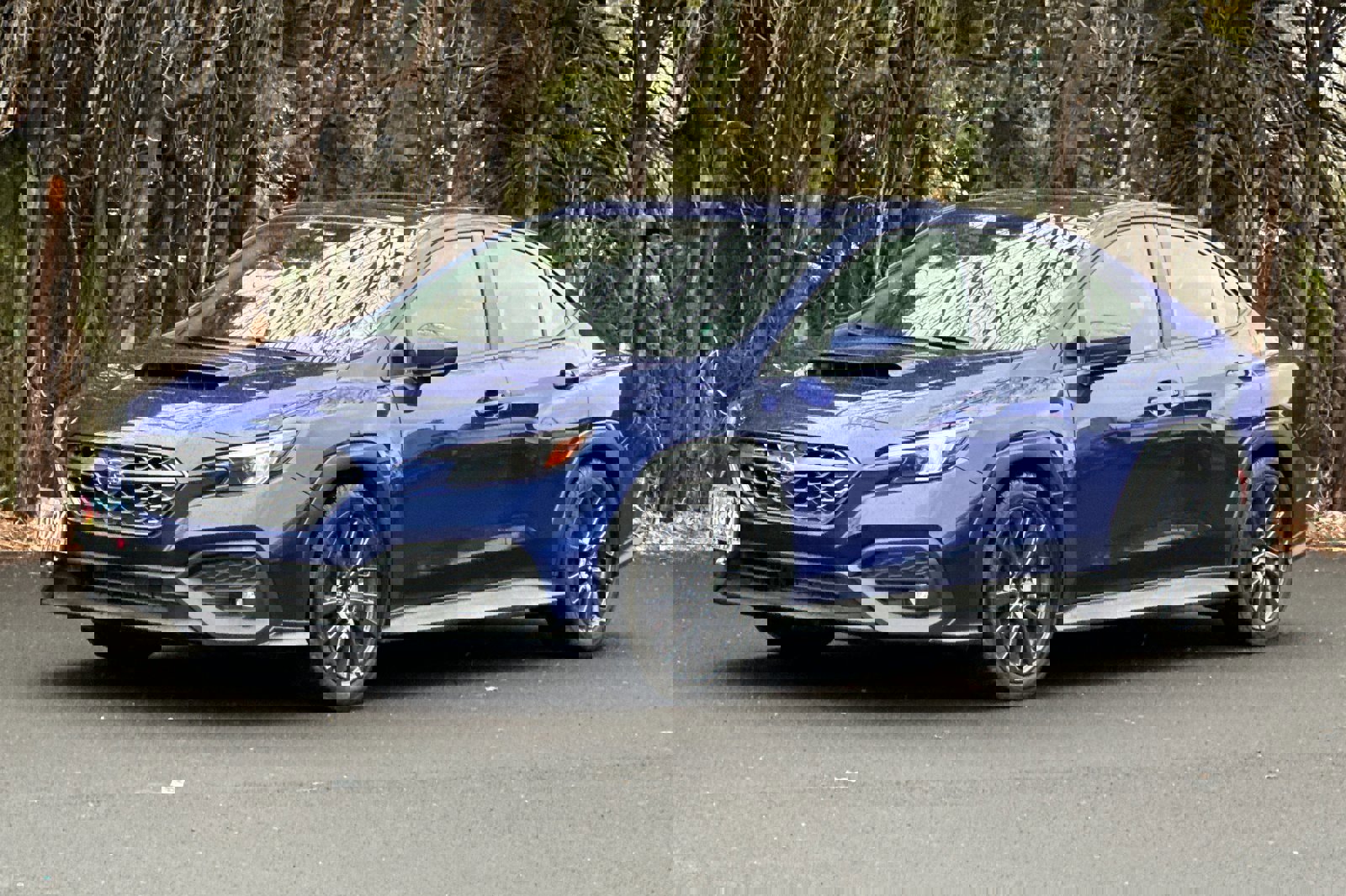 Used 2024 Subaru WRX Premium image 8