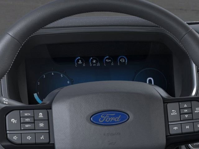 New 2026 Ford F150 Platinum image 13