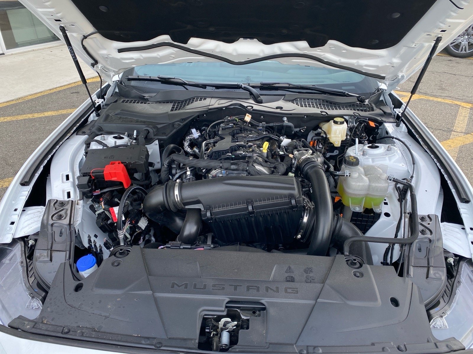 Used 2026 Ford Mustang Premium RWD image 29
