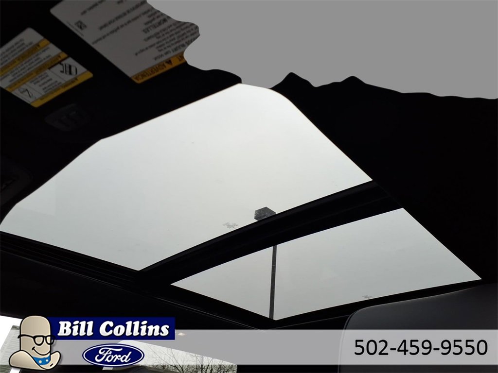 New 2026 Ford F350 Platinum image 21