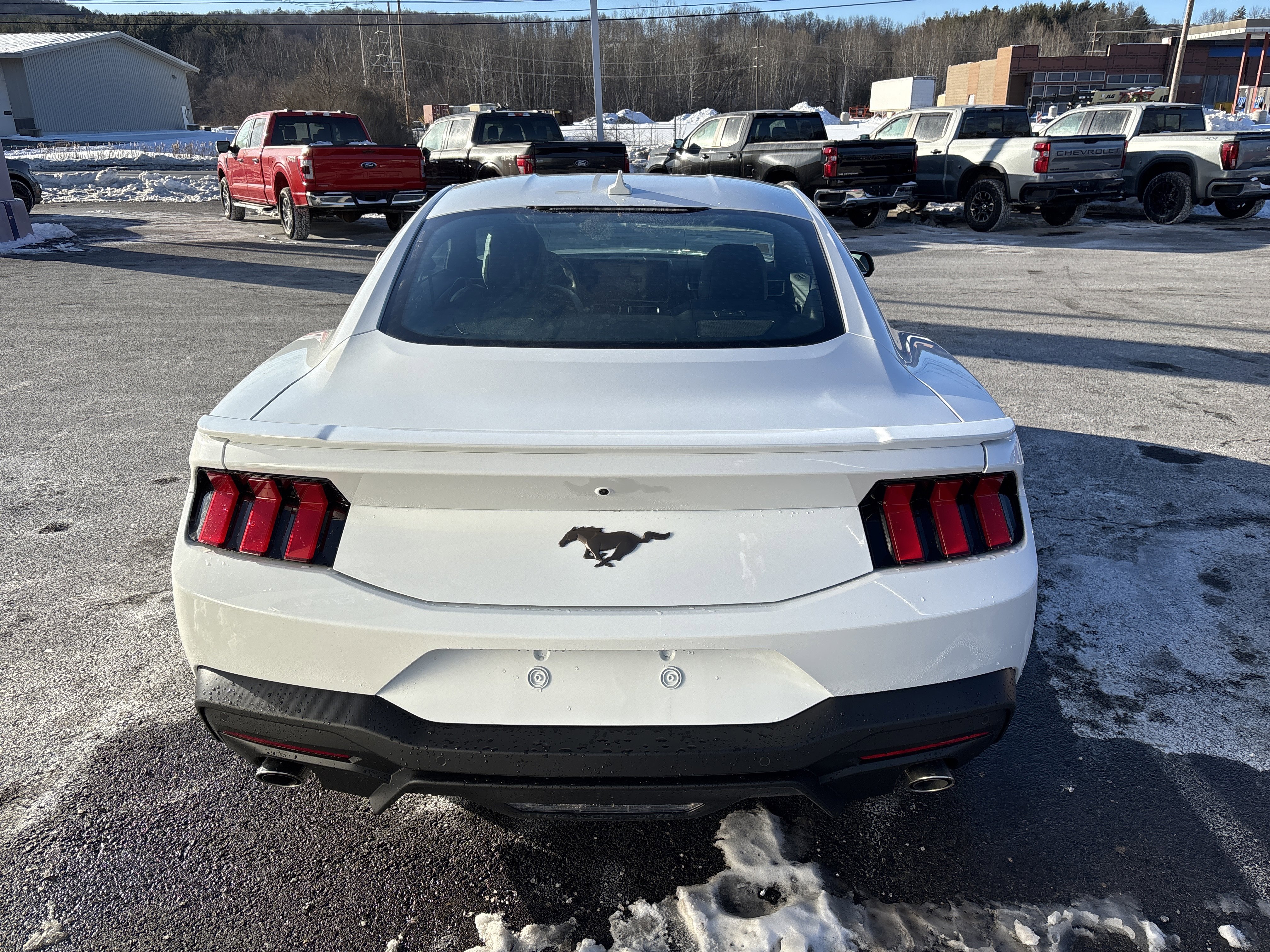 New 2026 Ford Mustang Premium image 4