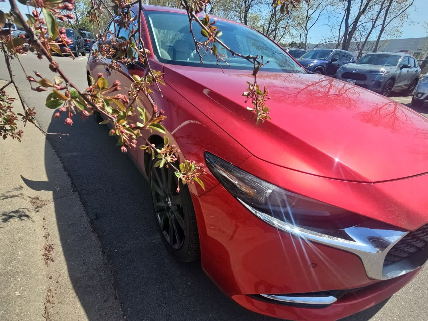 Used 2024 MAZDA MAZDA3 2.5 Turbo Sedan w/Premium Plus AWD/4WD image 2