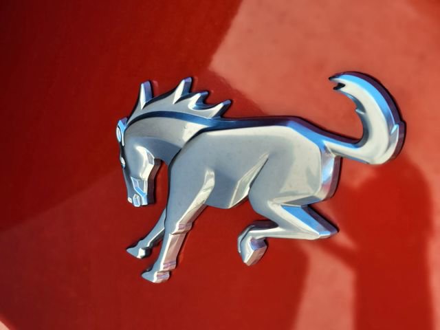 Used 2022 Ford Bronco Big Bend image 5