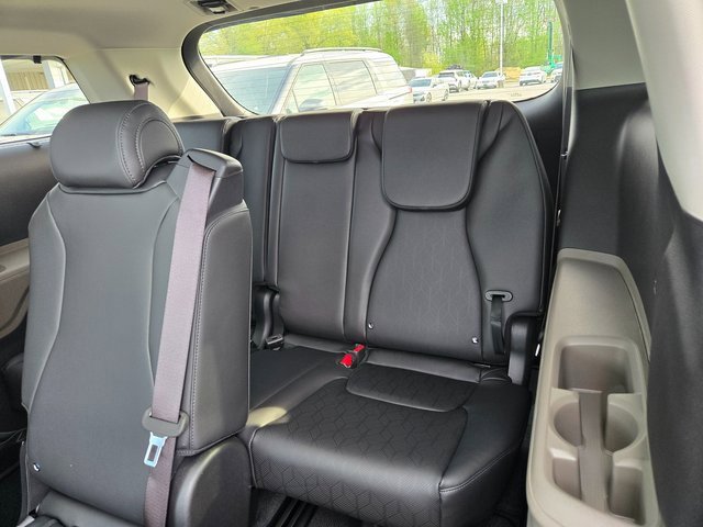 New 2025 Kia Carnival SX image 20