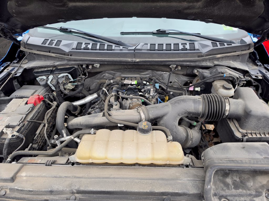 Used 2020 Ford F150 XLT w/ Equipment Group 302A Luxury AWD/4WD image 9
