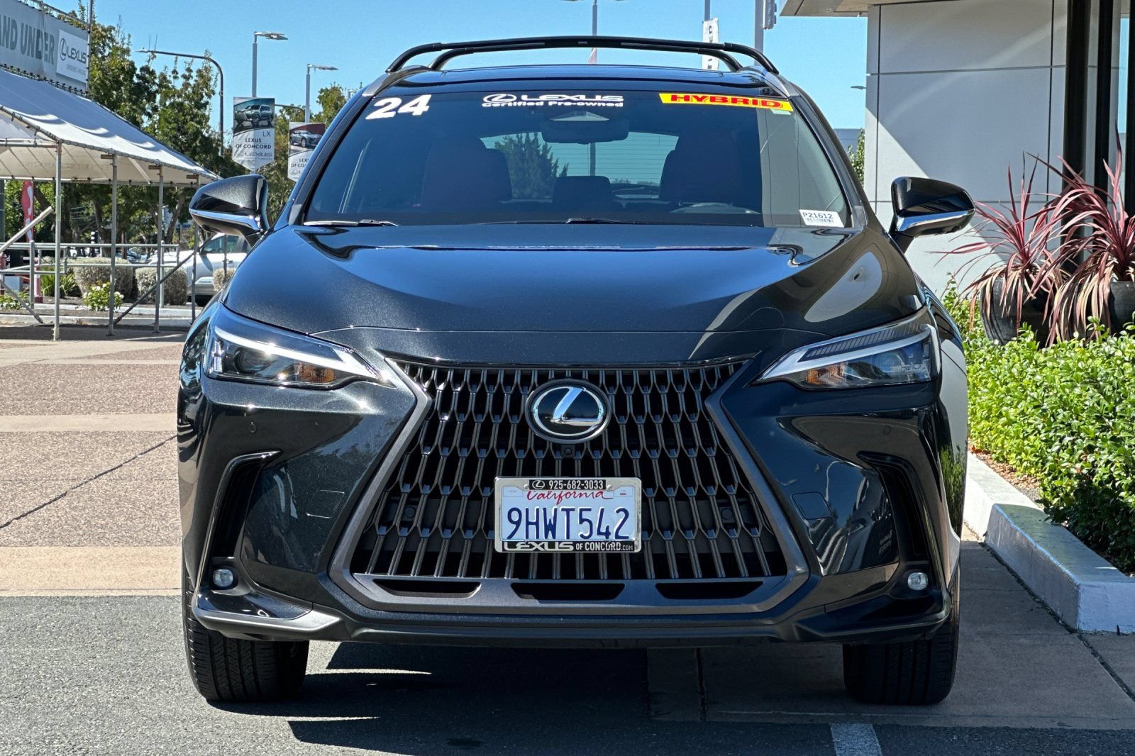 Used 2024 Lexus NX 350h AWD w/ Vision Package image 6
