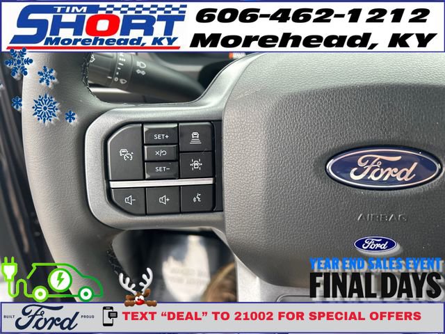 New 2025 Ford F150 Lightning Flash image 18