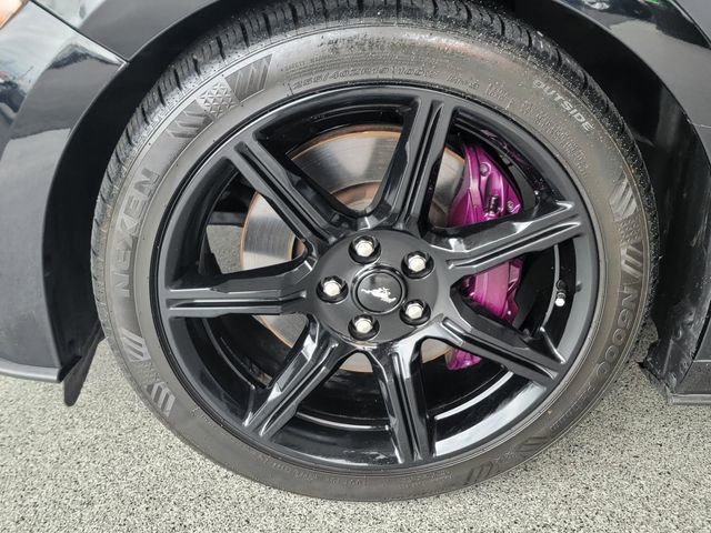 Used 2019 Ford Mustang GT w/ Equipment Group 301A RWD image 6