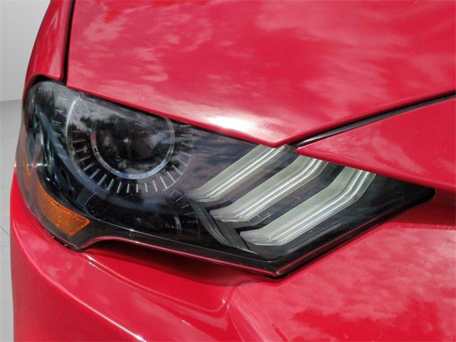 Used 2019 Ford Mustang Premium w/ Equipment Group 201A image 10