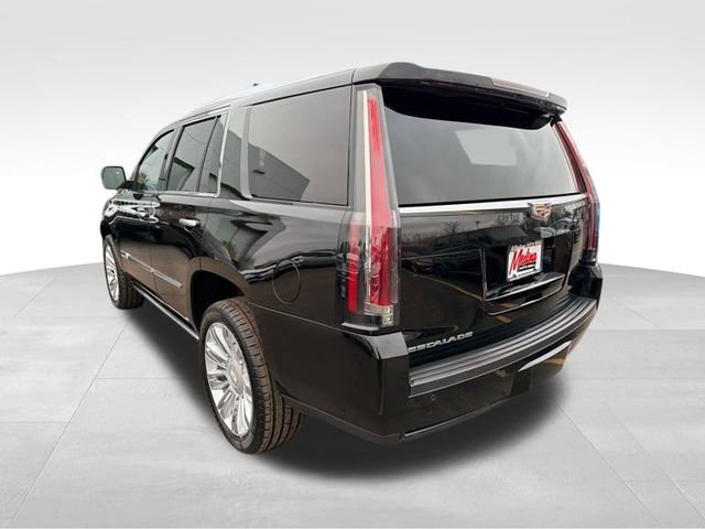 Used 2016 Cadillac Escalade Platinum image 8
