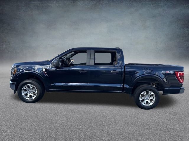 Used 2023 Ford F150 XLT image 8