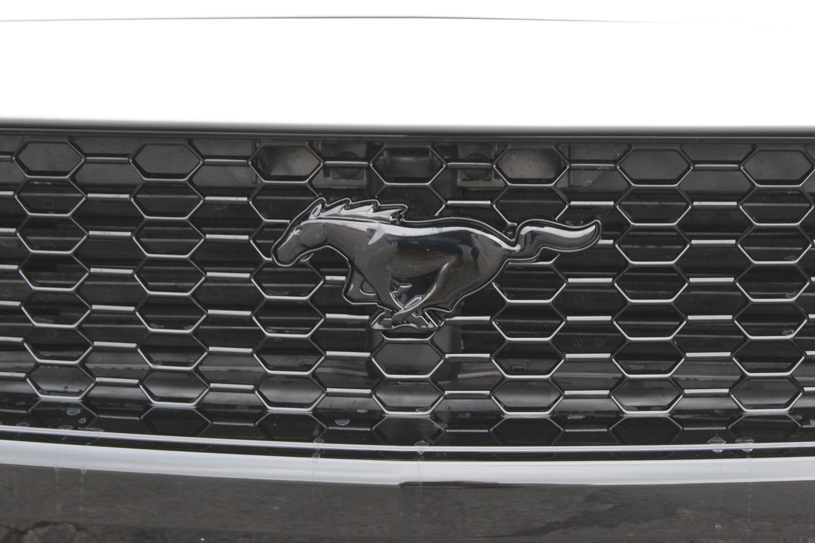 New 2026 Ford Mustang GT Premium image 11