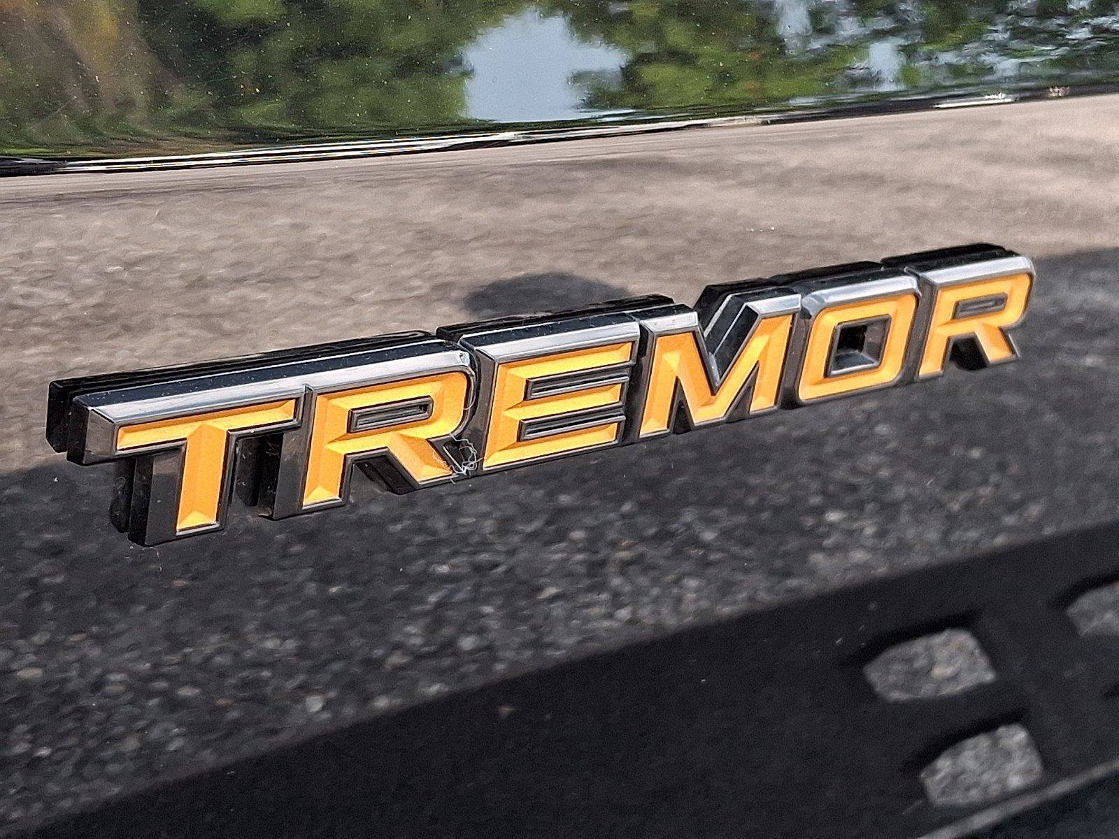 New 2026 Ford Expedition Tremor AWD/4WD image 20