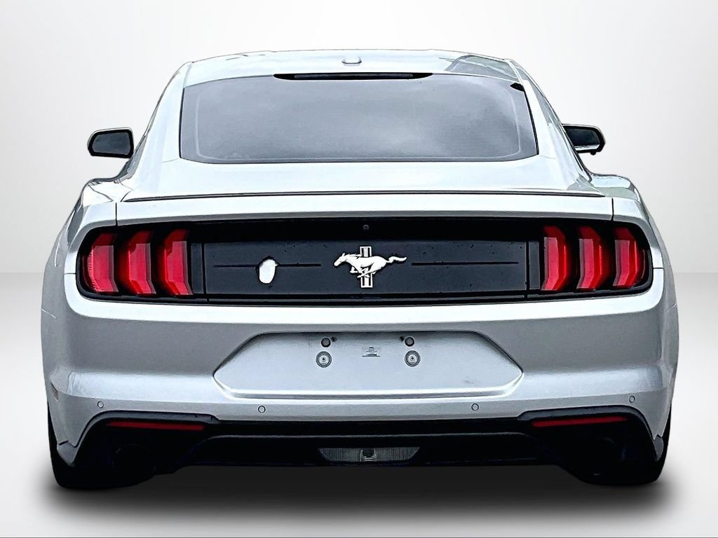 Used 2019 Ford Mustang Premium w/ Equipment Group 201A RWD image 5