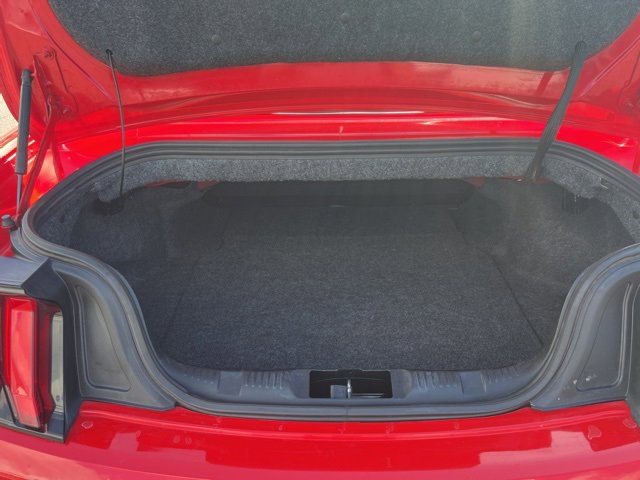 Used 2019 Ford Mustang Premium image 8