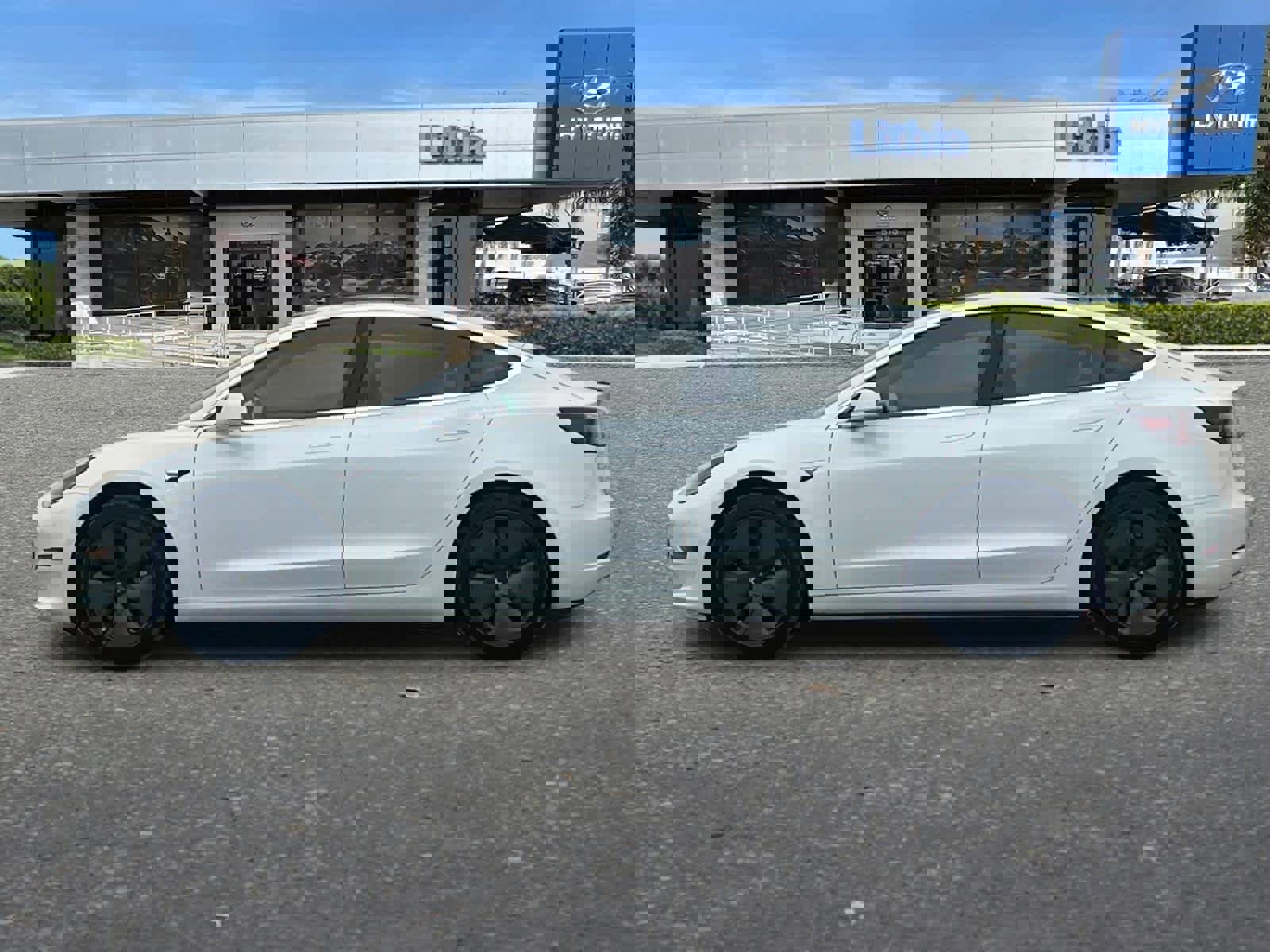 Used 2019 Tesla Model 3 Standard Range Plus image 5