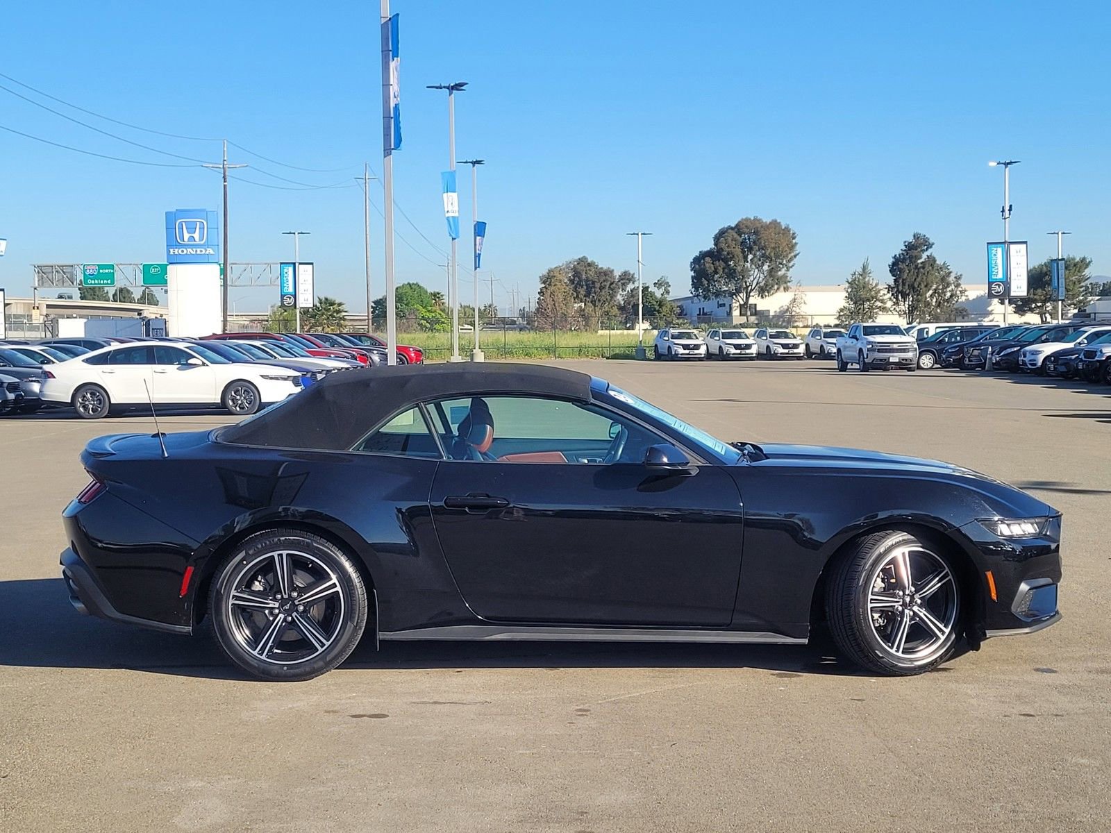 Used 2024 Ford Mustang Premium image 4