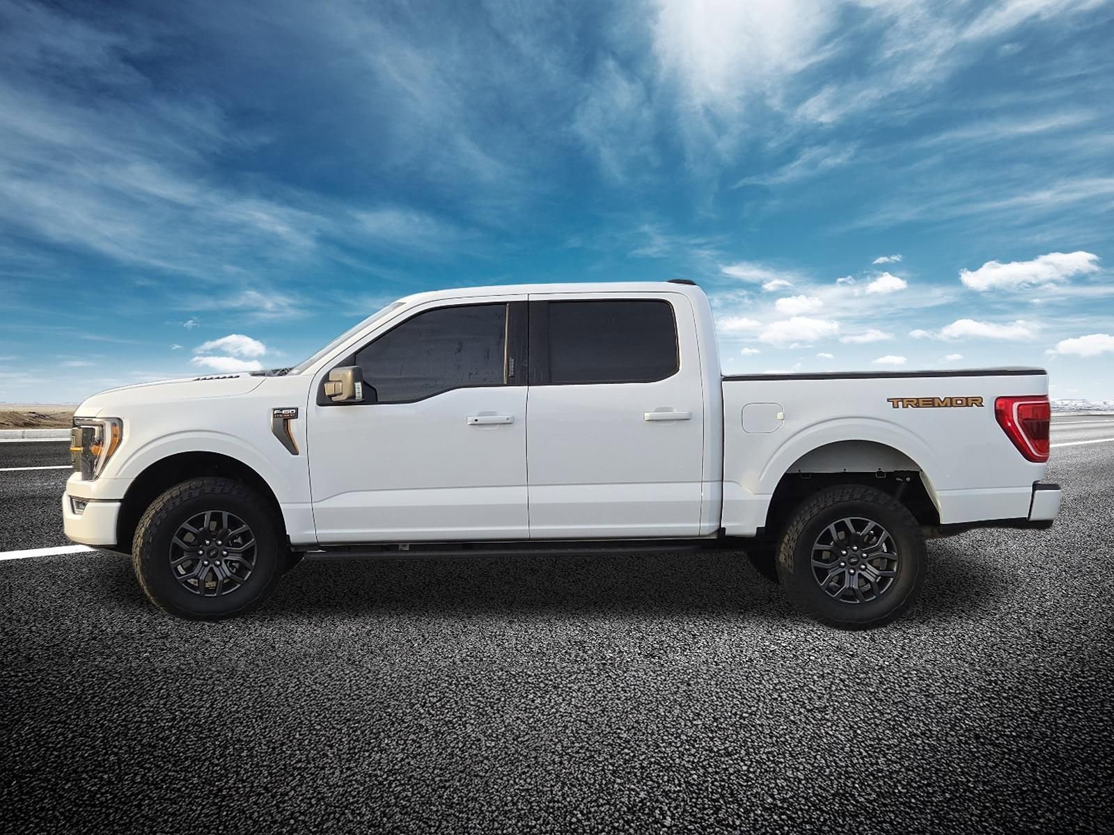 Used 2023 Ford F150 Tremor image 19